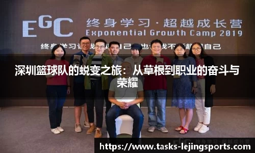 深圳篮球队的蜕变之旅：从草根到职业的奋斗与荣耀
